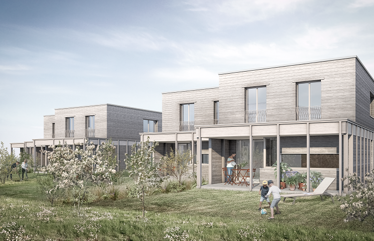 Maison Minergie récente — 3,5 pièces à Bassecourt